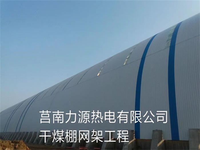 泰兴力源热电有限公司干煤棚网架工程